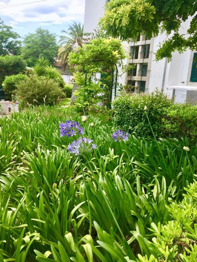 Cascais Seaside Garden Villa Экстерьер фото