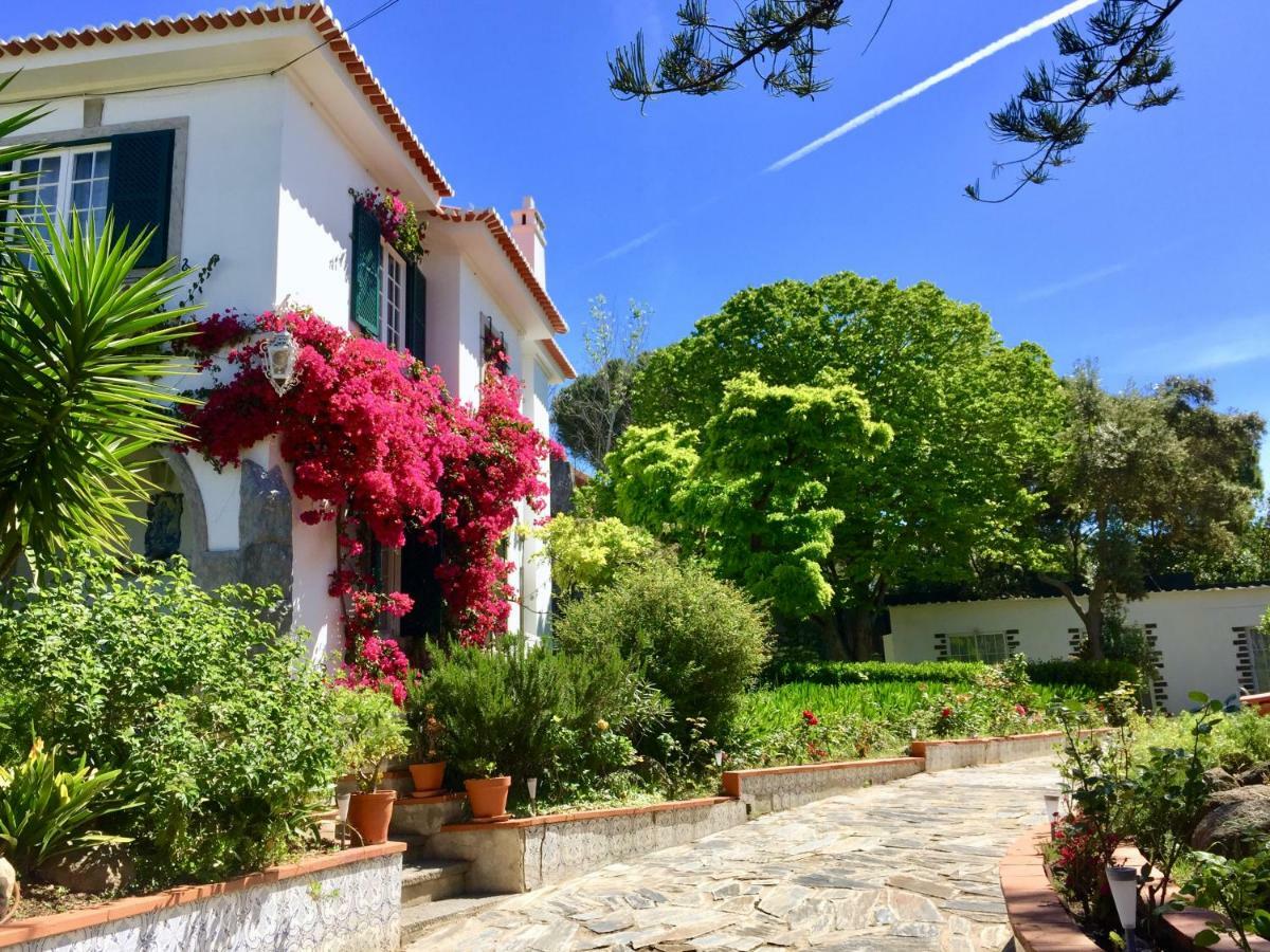 Cascais Seaside Garden Villa Экстерьер фото